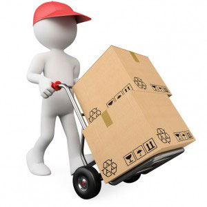 professional packers and movers in Azad Nagar Delhi